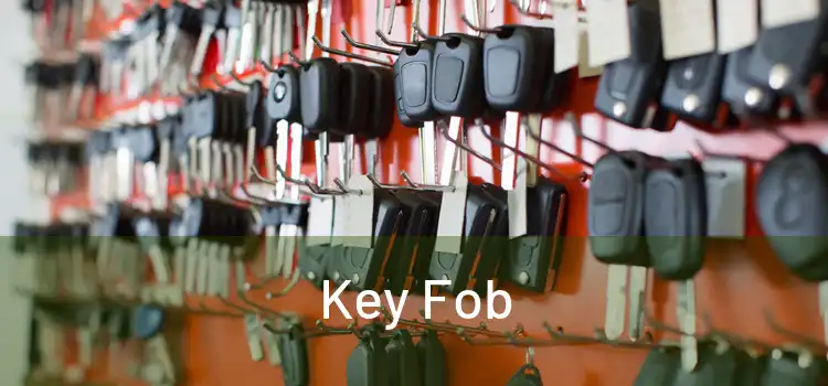  Key Fob 